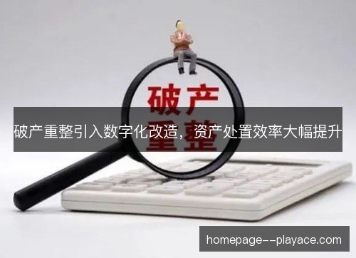 破产重整引入数字化改造,资产处置效率大幅提升 破产重整引入数字化改造,资产处置效率大幅提升